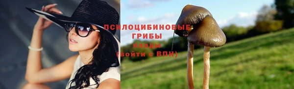 дмт Вязьма