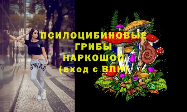 шишки Горнозаводск