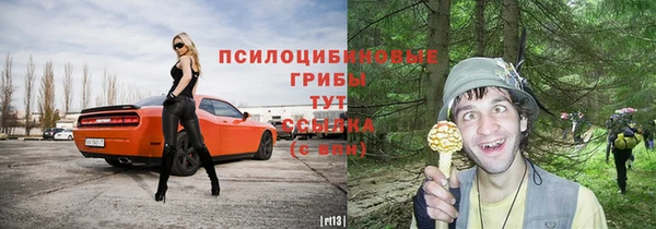 гидра Вязники