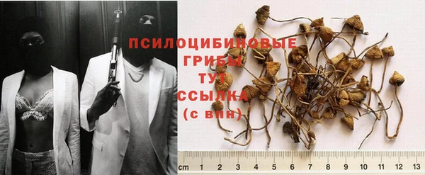 герыч Вяземский