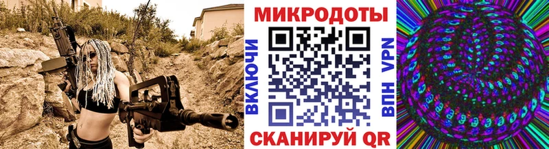 Псилоцибиновые грибы GOLDEN TEACHER  Камбарка 